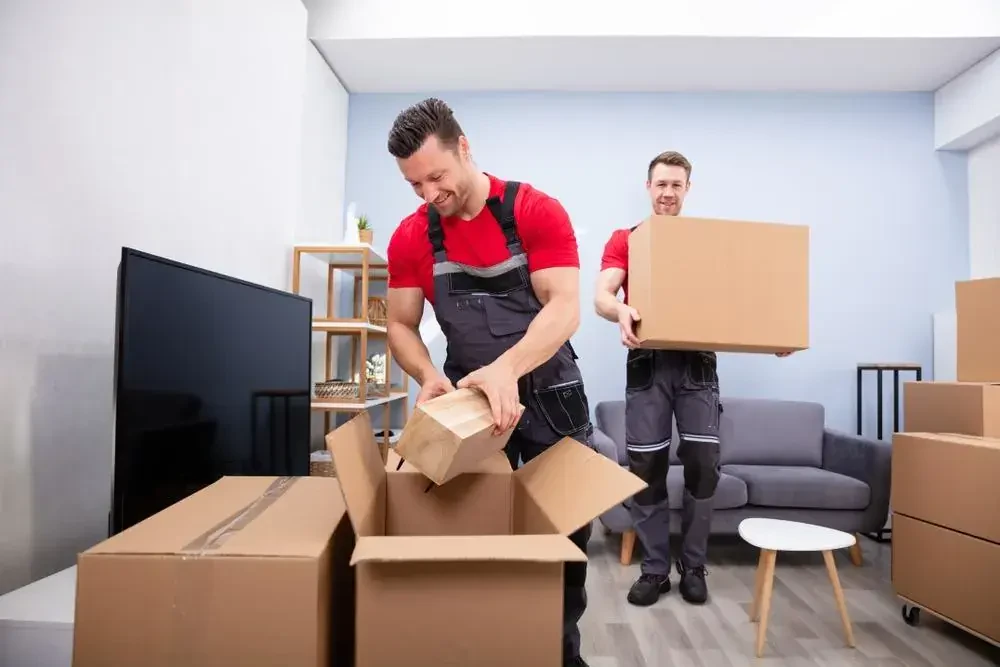 Best Movers In Carteret, NJ