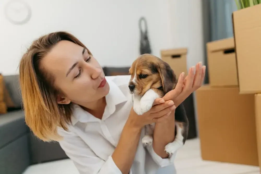 best movers in clinton il