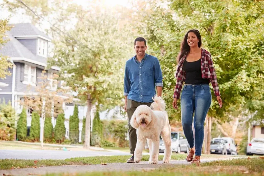 best local movers in council bluffs ia with no-obligation moving quotes