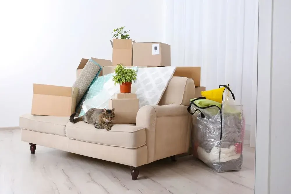 best movers in demopolis al