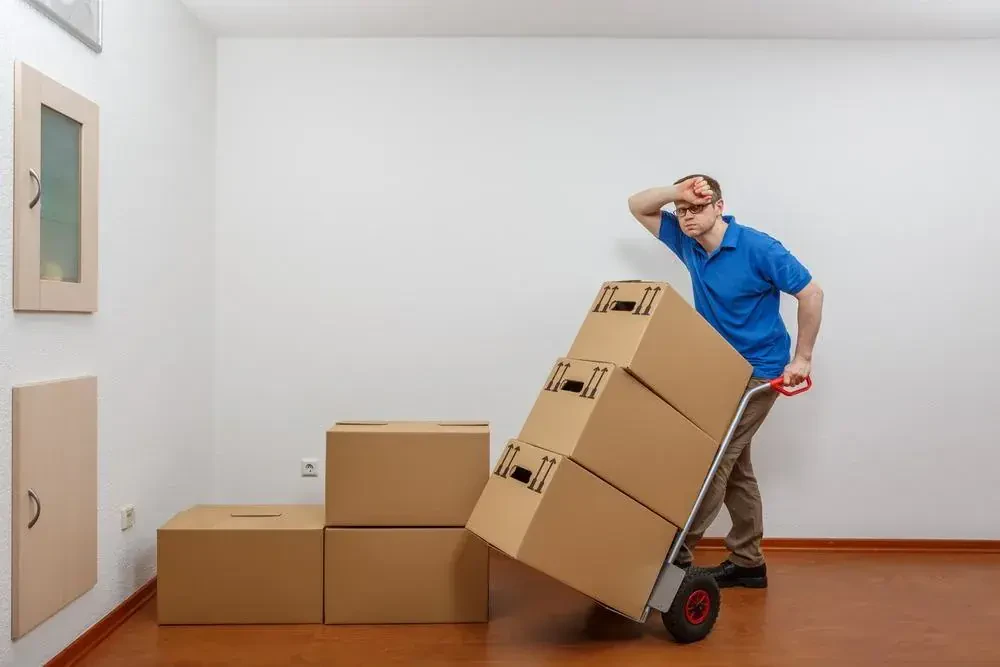 best movers in derwood md