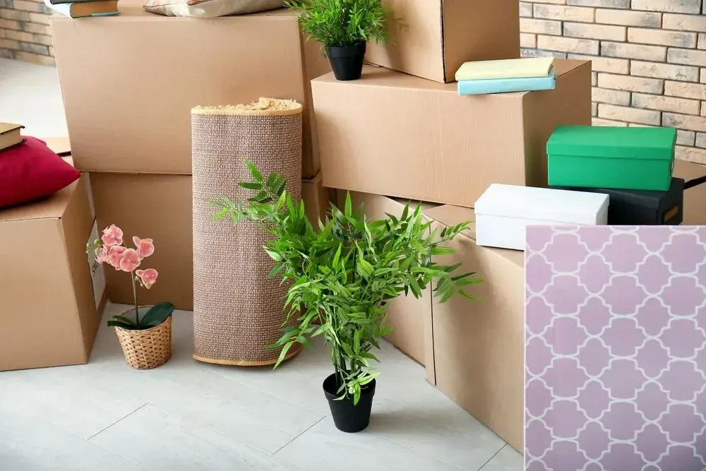 best movers in eastwood md