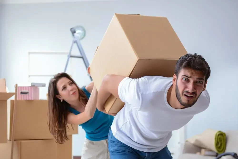 Best Movers In Fairview, GA