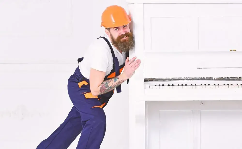 best movers in fort branch in