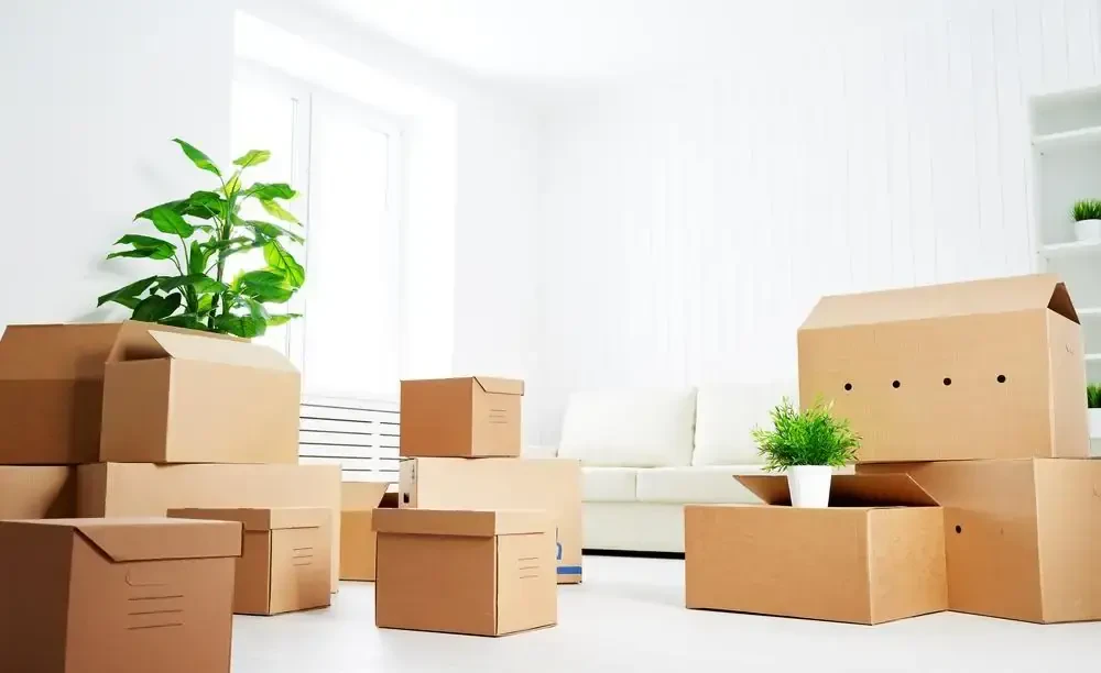 best movers in geneva al