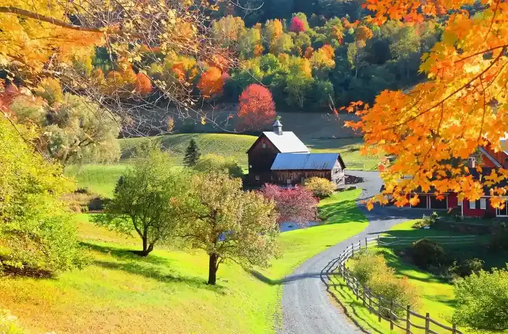 best movers in green or