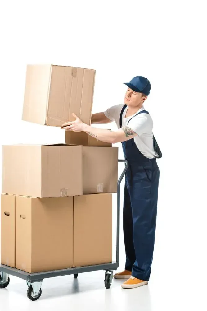 best movers in hillandale md