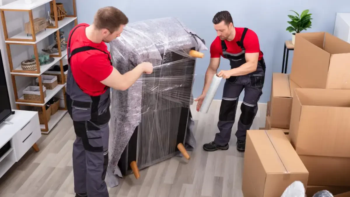 Best New Port Richey Movers Near Me With Premium Moving Companies