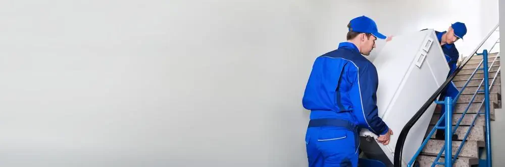 best movers in newcastle wa