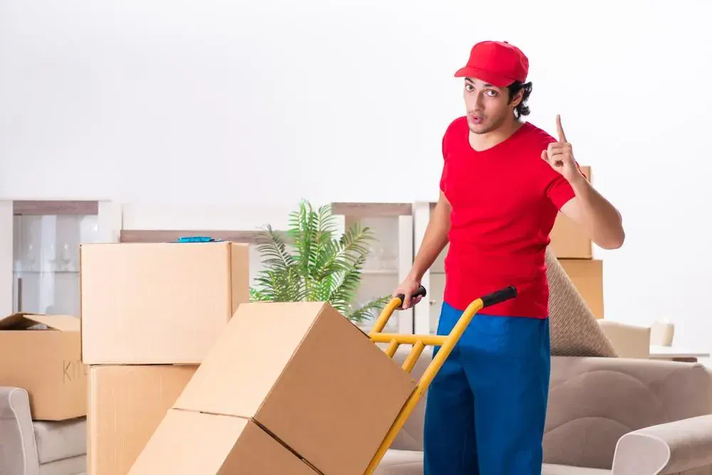 best movers in pocomoke city md
