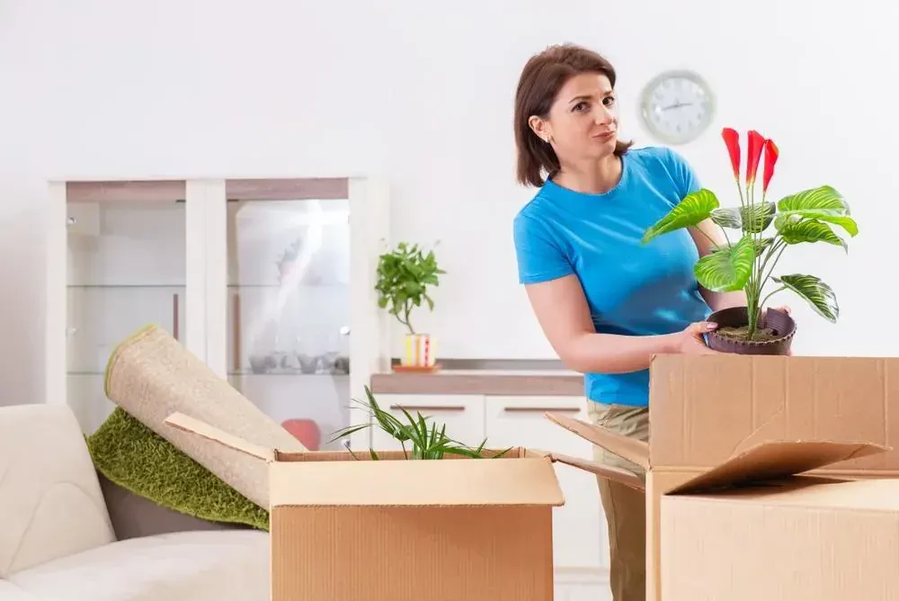 Best Movers In Silver Spring, MD