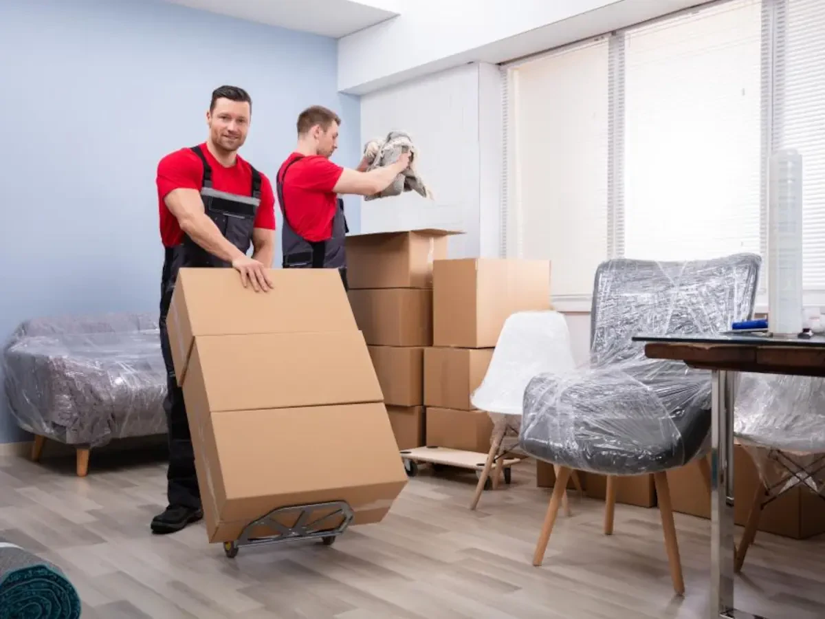 Best Sparta Movers Near Me – Premium Sparta, NJ Moving Companies
