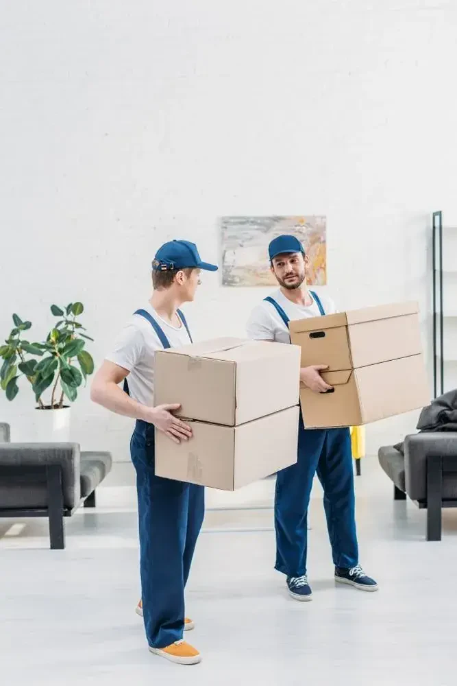 best movers in springdale md