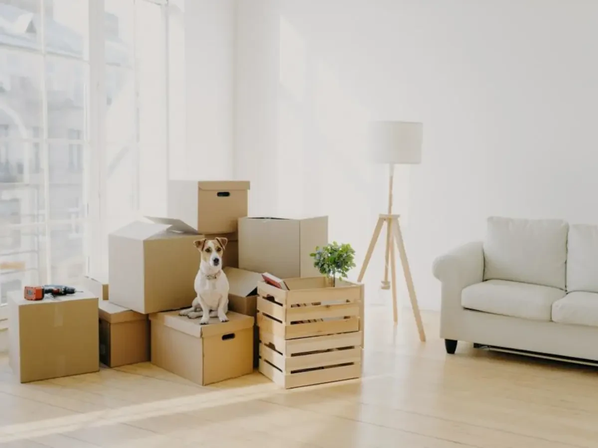 Movers New York to Virginia