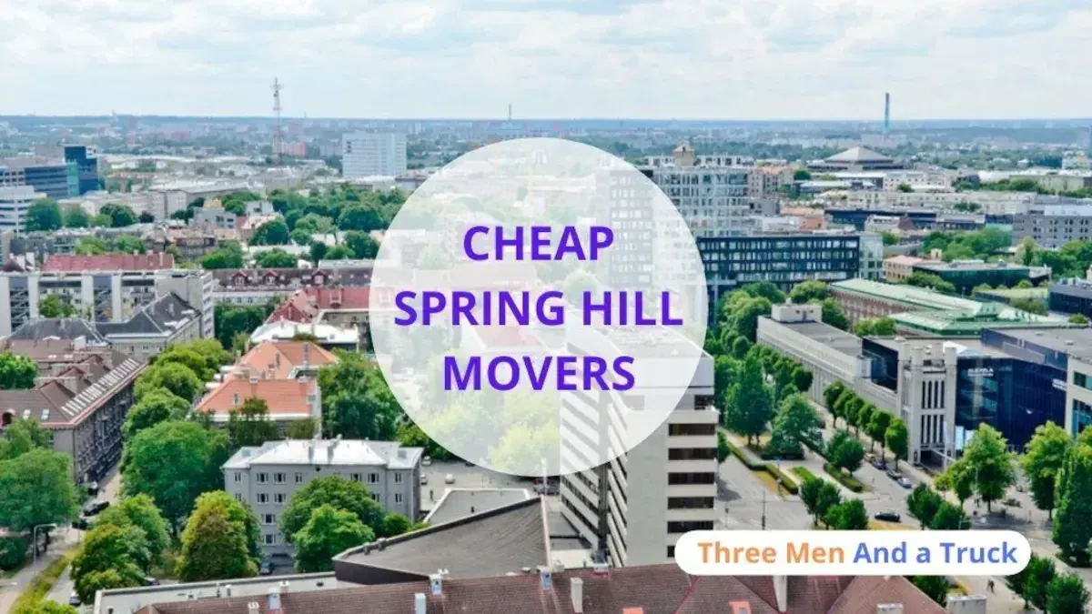 Best Spring Hill Movers Near Me – Premium Moving Companies
