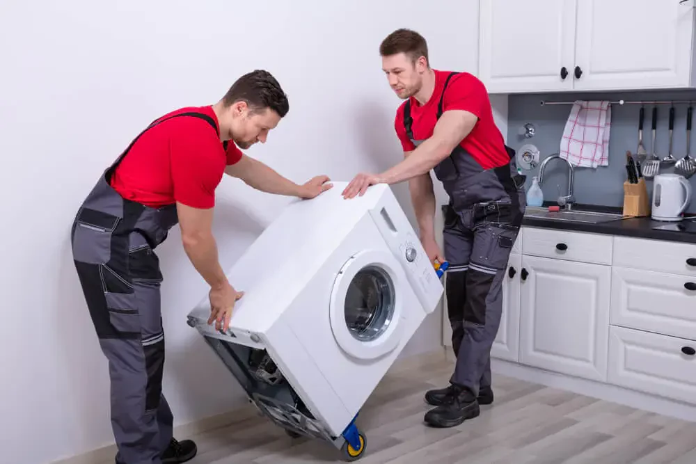 Experienced Movers Handling
