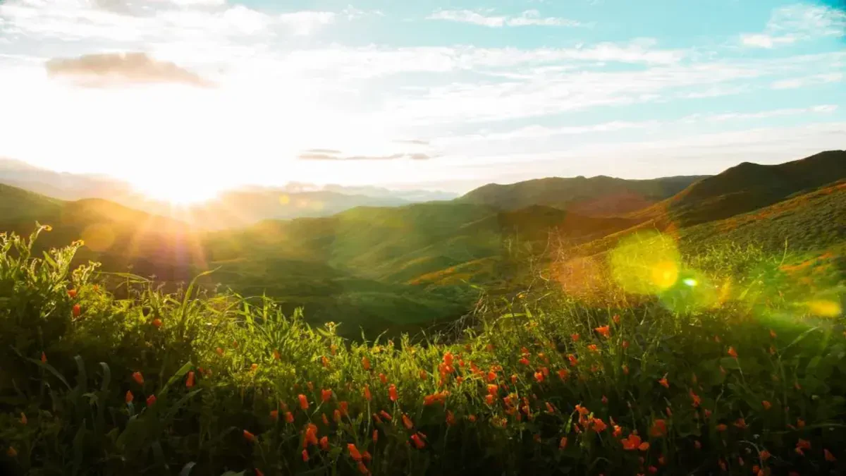 Movers Alabama to California