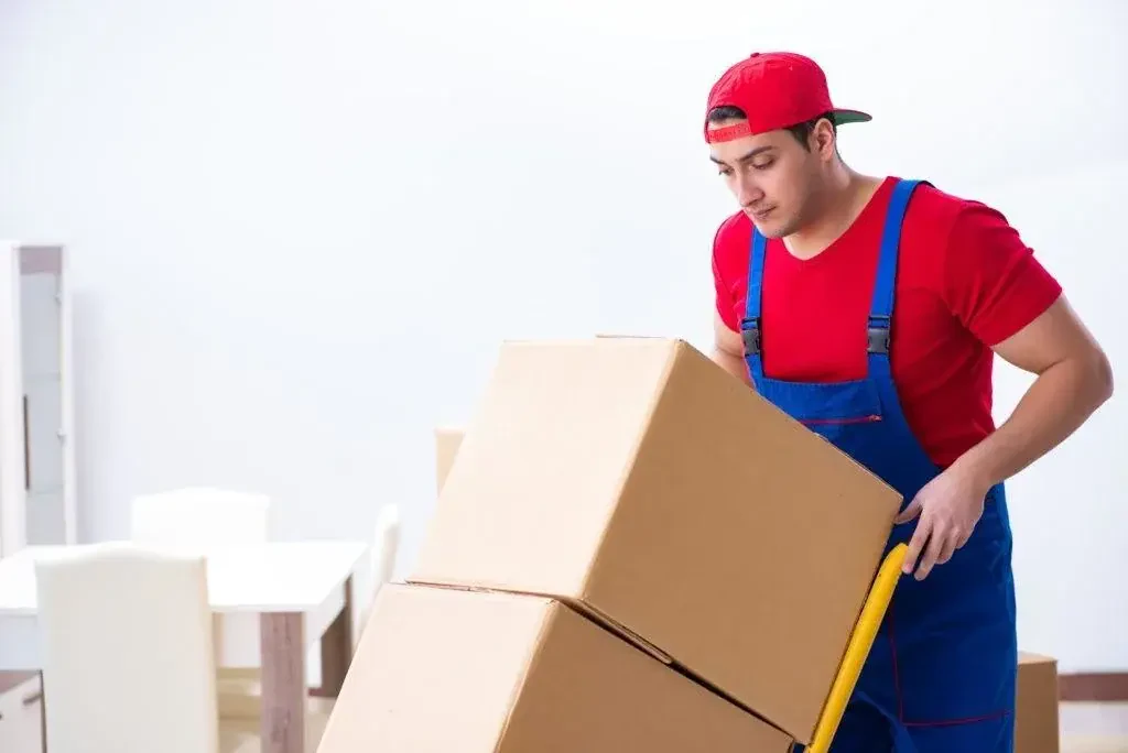 movers la to mt