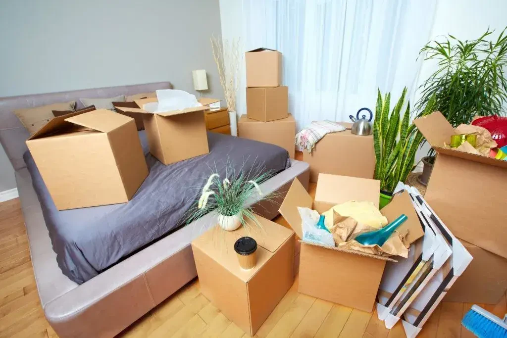 movers va to sc