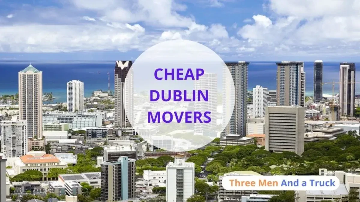 Best Dublin Movers: Top Moving Company