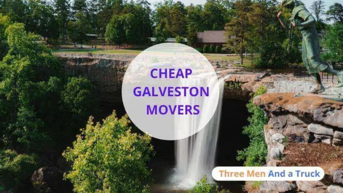Best Galveston Movers Near Me With Premium Moving Companies