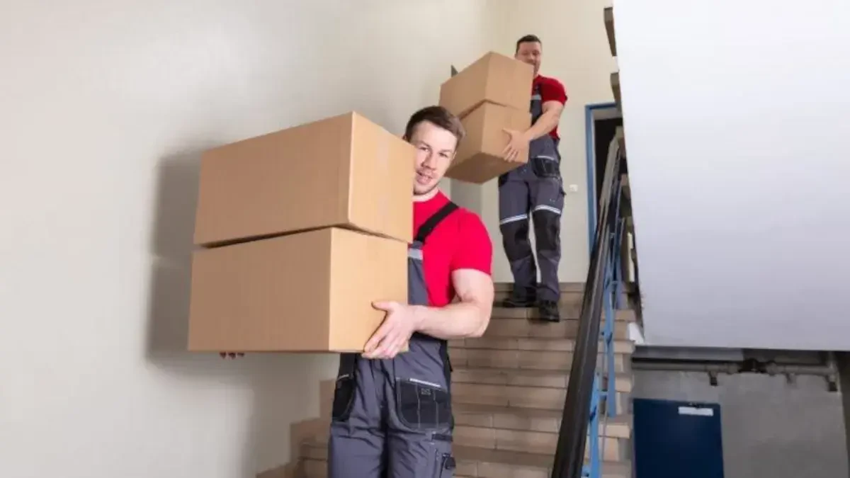 San Carlos Movers – Reliable Local & Long-Distance Moving Experts