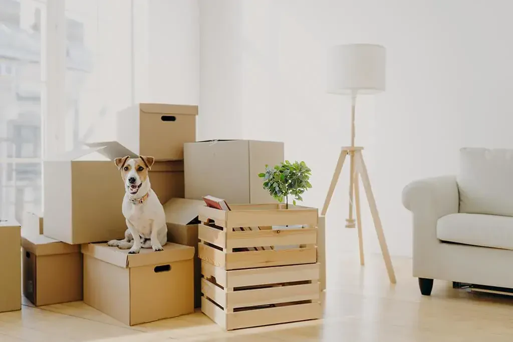 cheap michigan to kentucky moving company