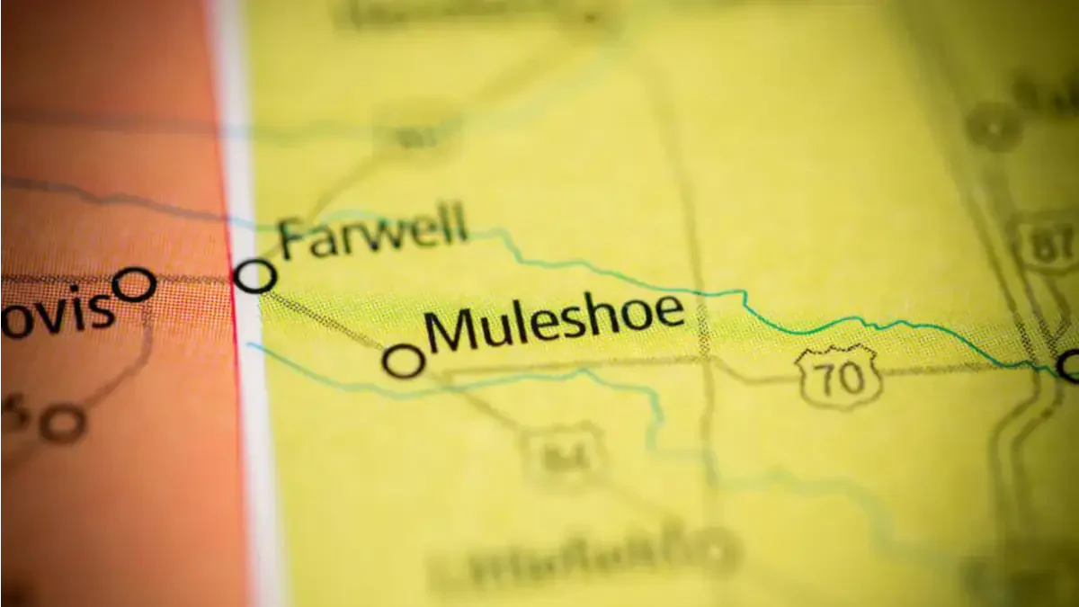 Best Muleshoe Movers Near Me – Premium Muleshoe, TX Moving Companies