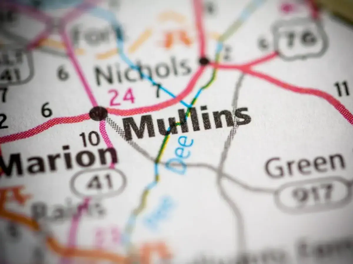 Best Mullins Movers Near Me For Premium Moving Companies