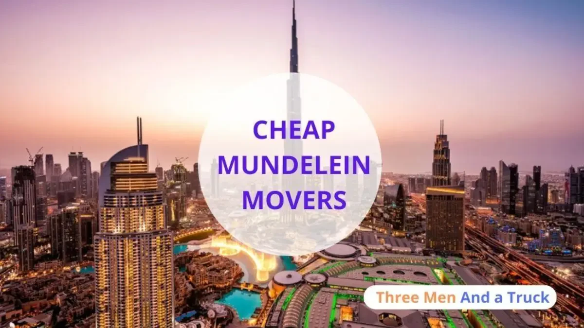 Best Mundelein Movers Near Me – Premium Mundelein, IL Moving Companies