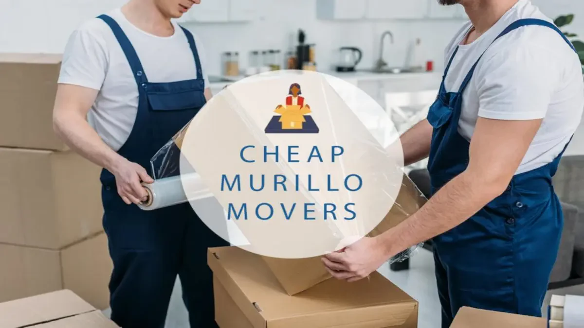 Best Murillo Movers Near Me – Premium Murillo, TX Moving Companies