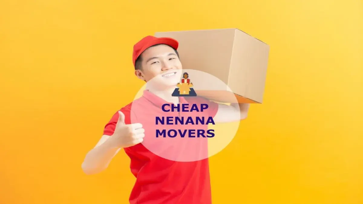 Best Nenana Movers Near Me – Premium Nenana, AK Moving Companies