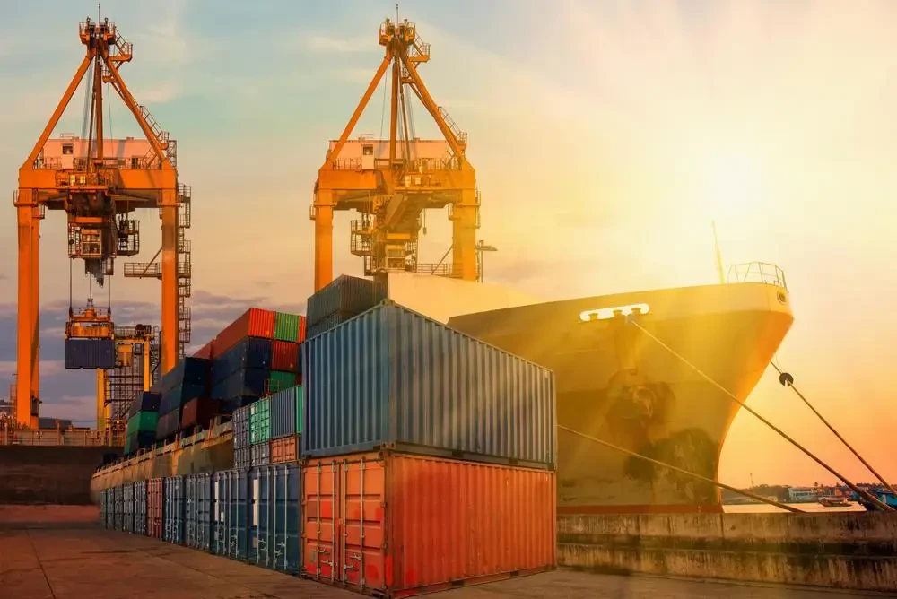 Netherlands International Moving Companies - Shipping business items - Customs cargo delivery with no language barrier
