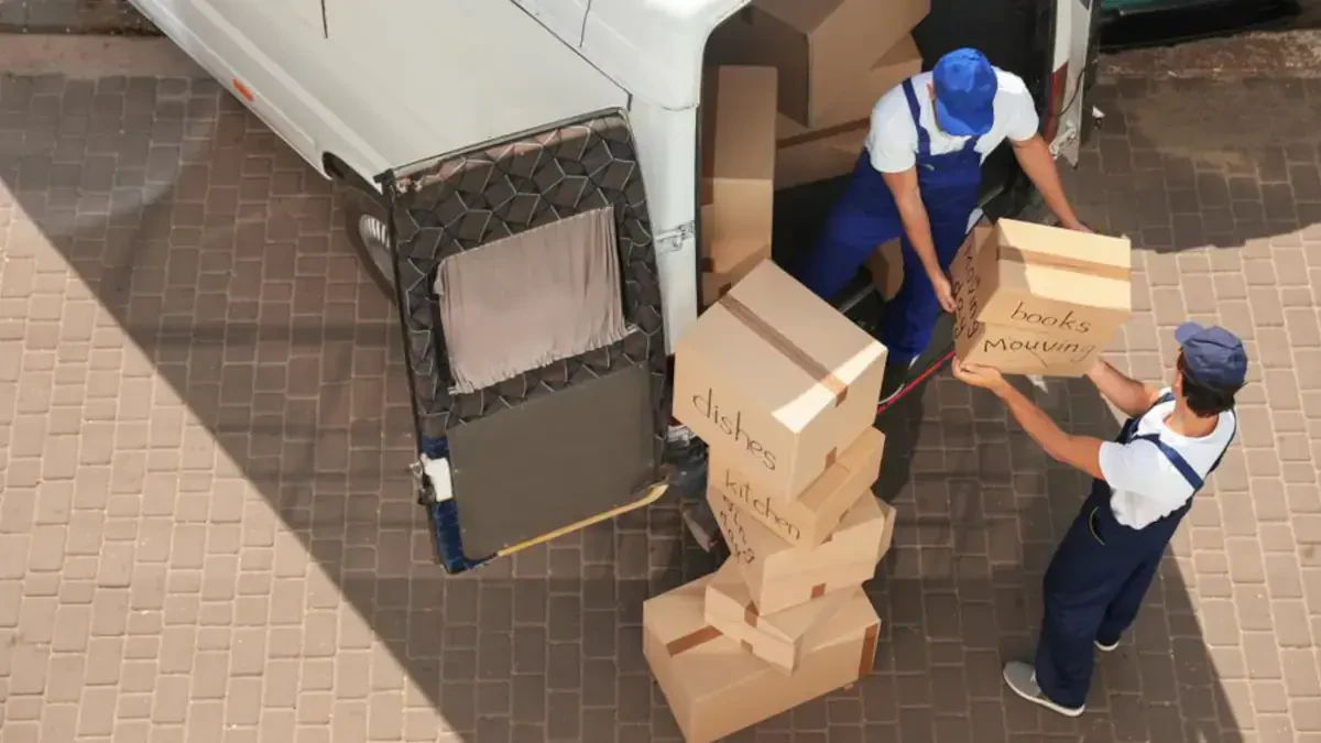 Best New Britain Township Movers Near Me – Premium New Britain Township, PA Moving Companies