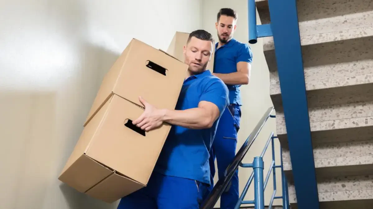 Best New Hope Movers Near Me Premium Moving Companies