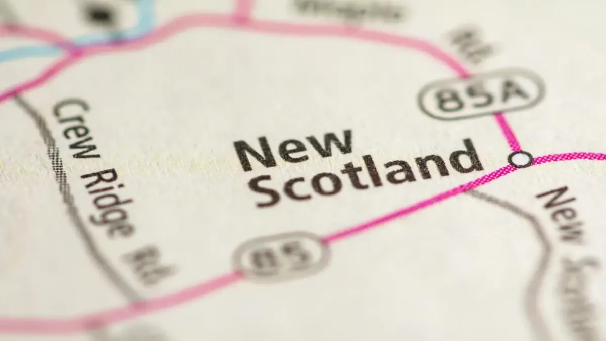 Best New Scotland Movers Near Me – Premium New Scotland, NY Moving Companies