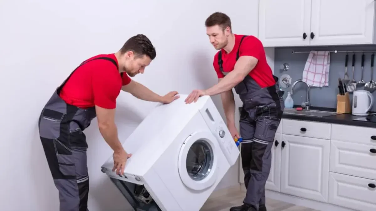 New York City to Rome Movers Near Me Premium Moving Companies Cost