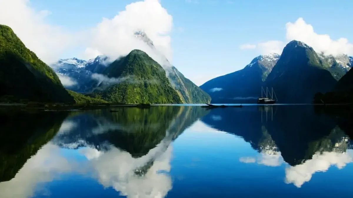 Moving to New Zealand from Canada