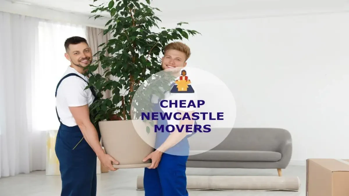 Best Newcastle Movers Near Me – Premium Newcastle, WA Moving Companies