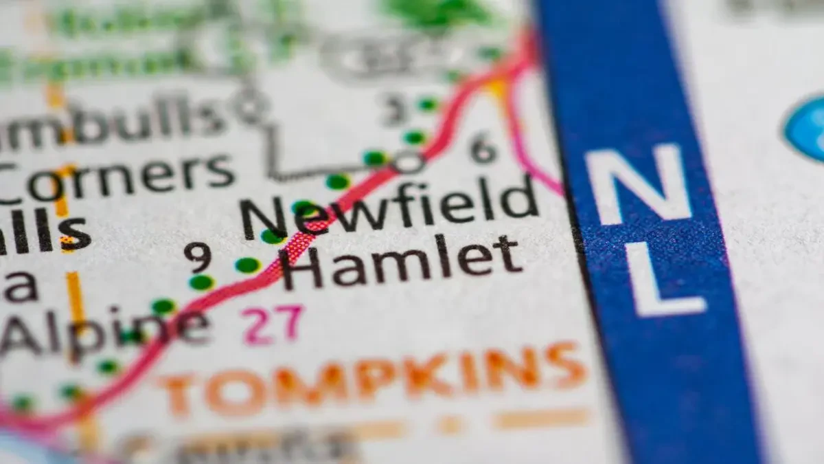 Best Newfield Movers Near Me – Premium Newfield, NY Moving Companies