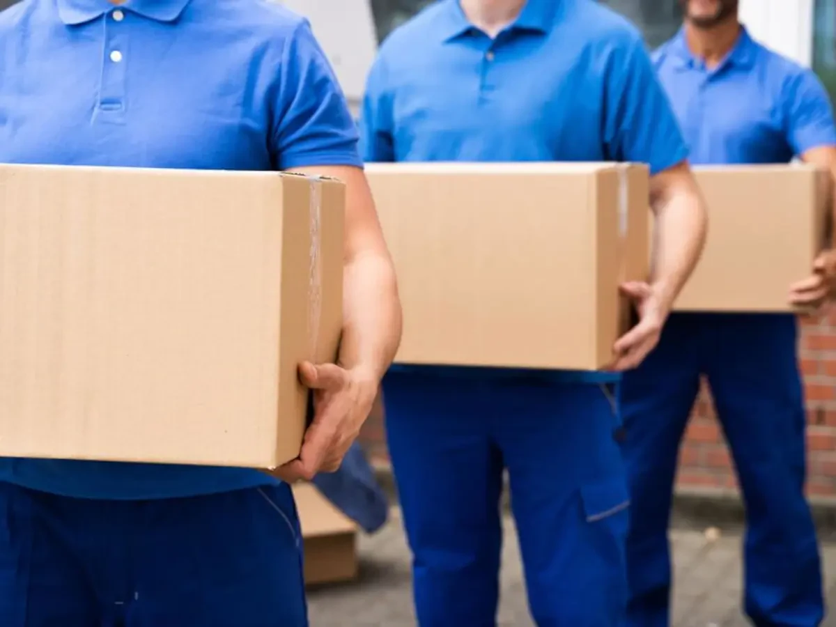 Best North Collins Town Movers Near Me – Premium North Collins Town, NY Moving Companies