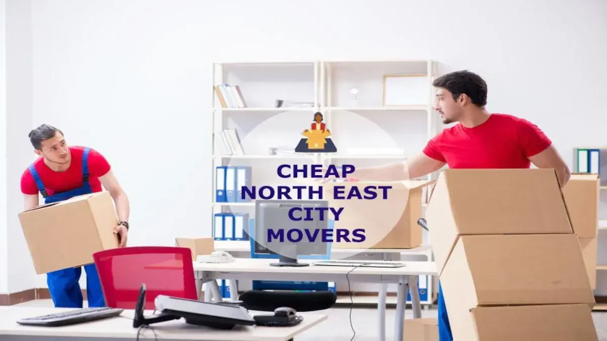 Best North East City Movers Near Me – Premium North East City, MD Moving Companies