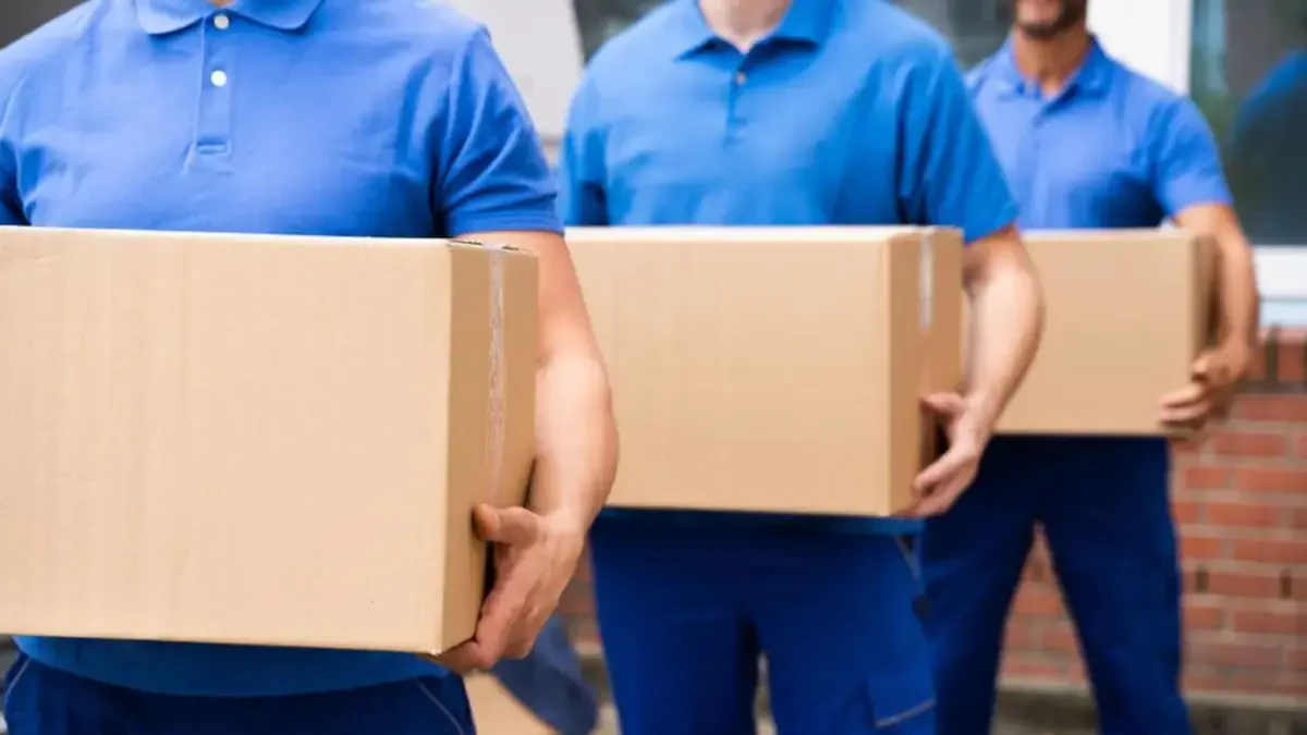 Best Northampton Movers Near Me Premium Moving Companies