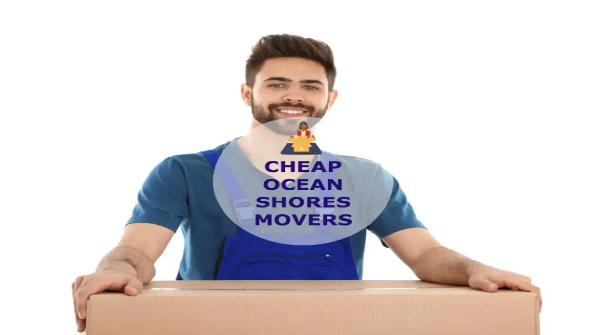 Best Ocean Shores Movers Near Me – Premium Ocean Shores, WA Moving Companies