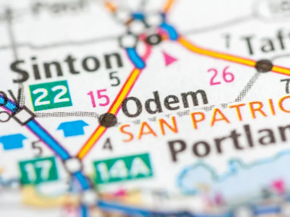 Best Odem Movers Near Me – Premium Odem, TX Moving Companies