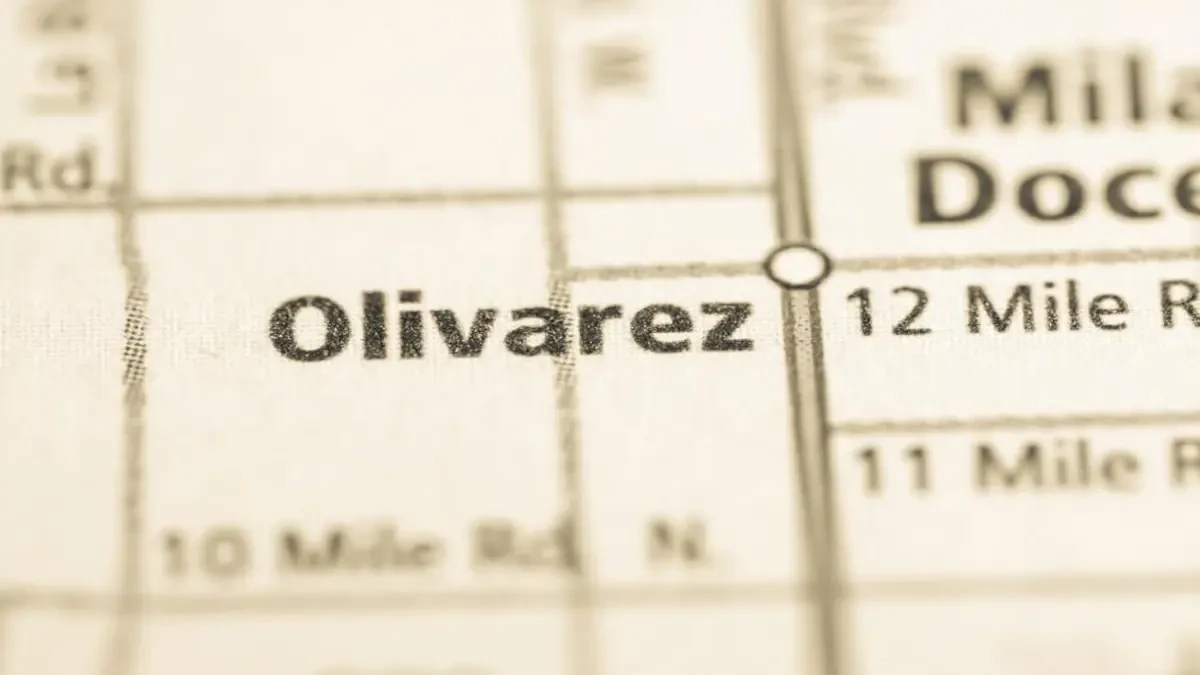 Best Olivarez Movers Near Me – Premium Olivarez, TX Moving Companies