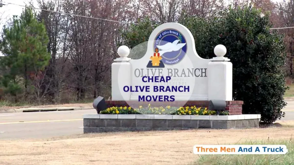 Best Olive Branch Movers Near Me – Premium Olive Branch, MS Moving Companies