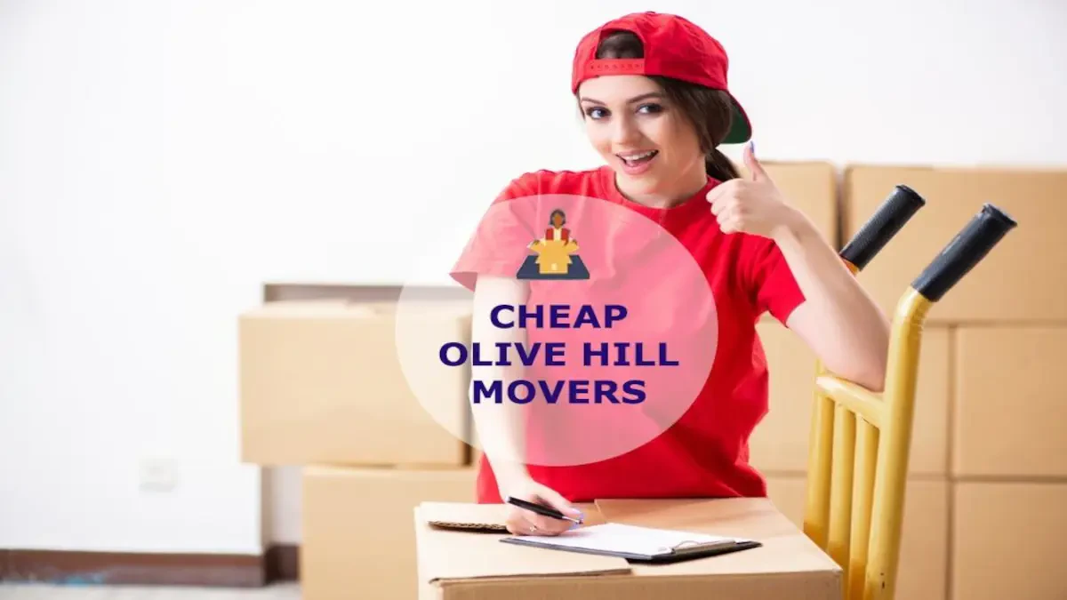 Best Olive Hill Movers Near Me – Premium Olive Hill, KY Moving Companies