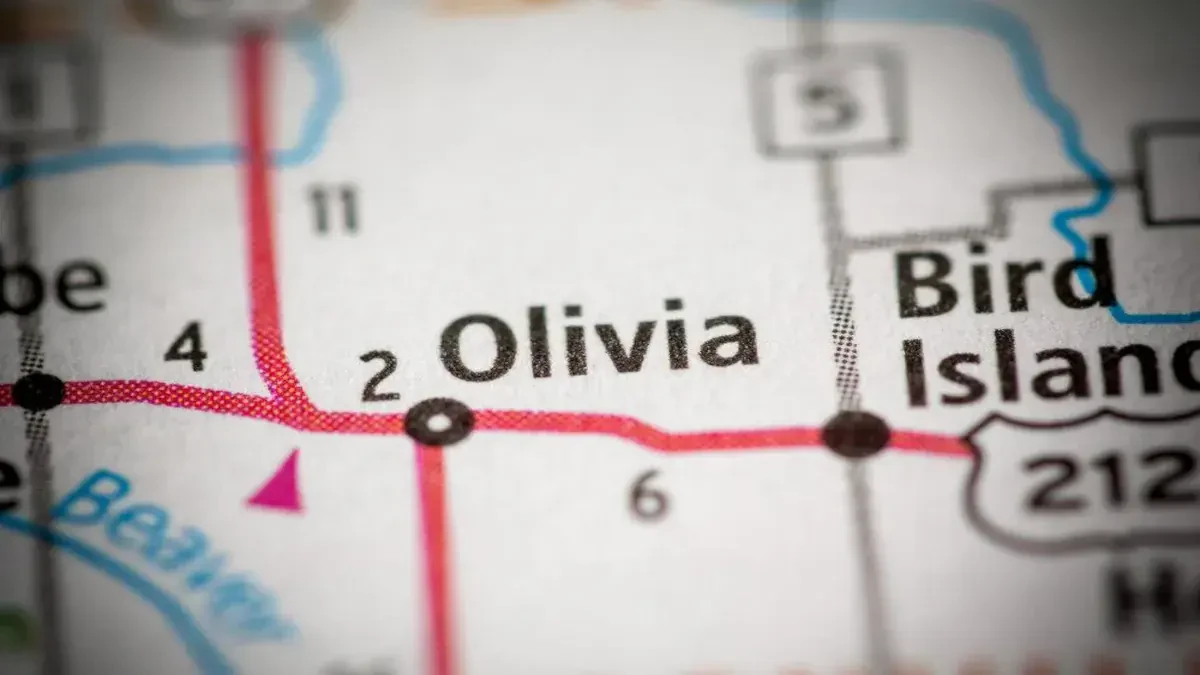 Best Olivia Movers Near Me – Premium Olivia, MN Moving Companies