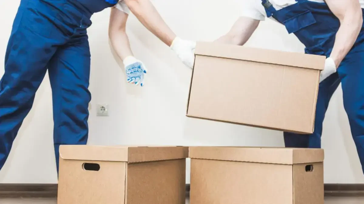 Best Oneida County Movers Near Me – Premium Oneida County, ID Moving Companies